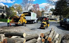 Best Leaf Removal  in , MI