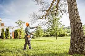 Best Hazardous Tree Removal  in , MI